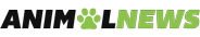 00000